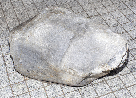 Archillect ID 373949