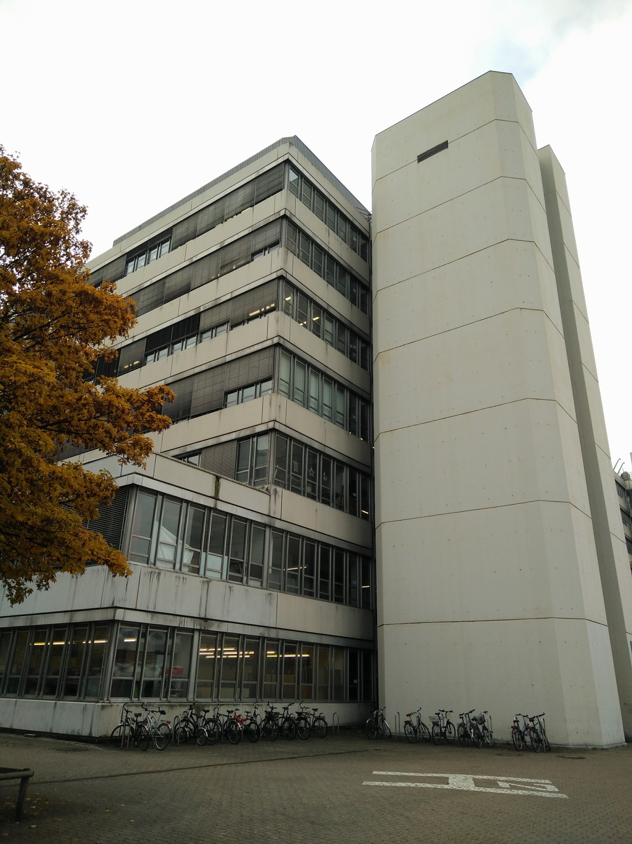 Archillect ID 373973