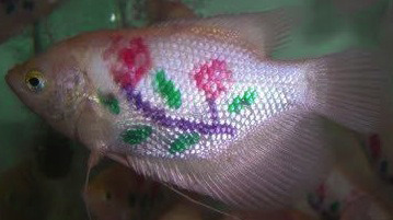 Archillect ID 374011