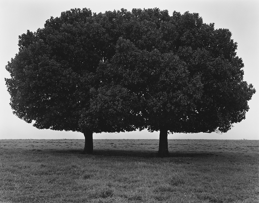 Archillect ID 374047