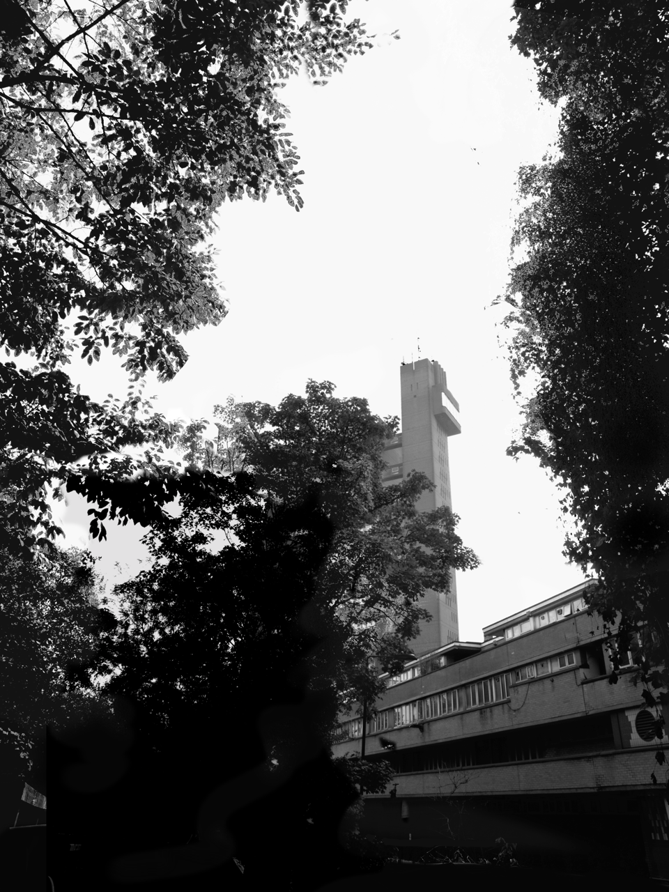 Archillect ID 374104