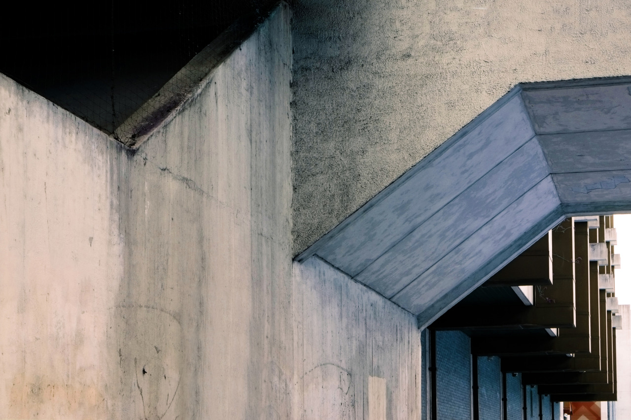 Archillect ID 374120