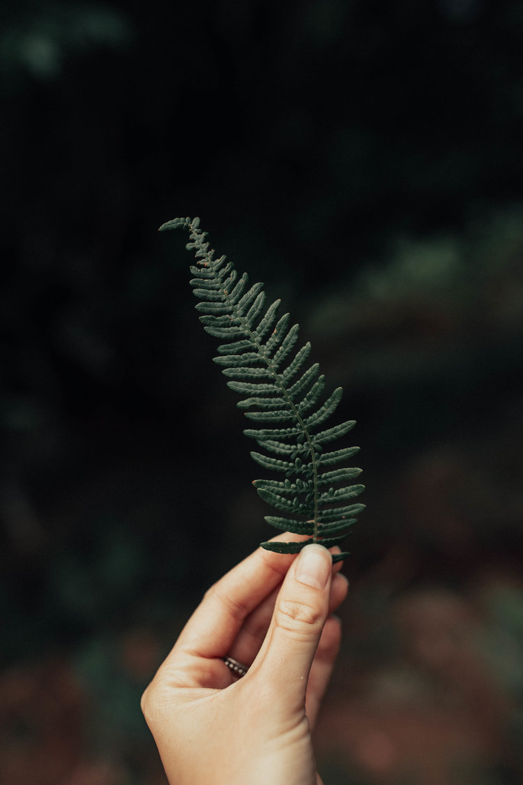 Archillect ID 374138