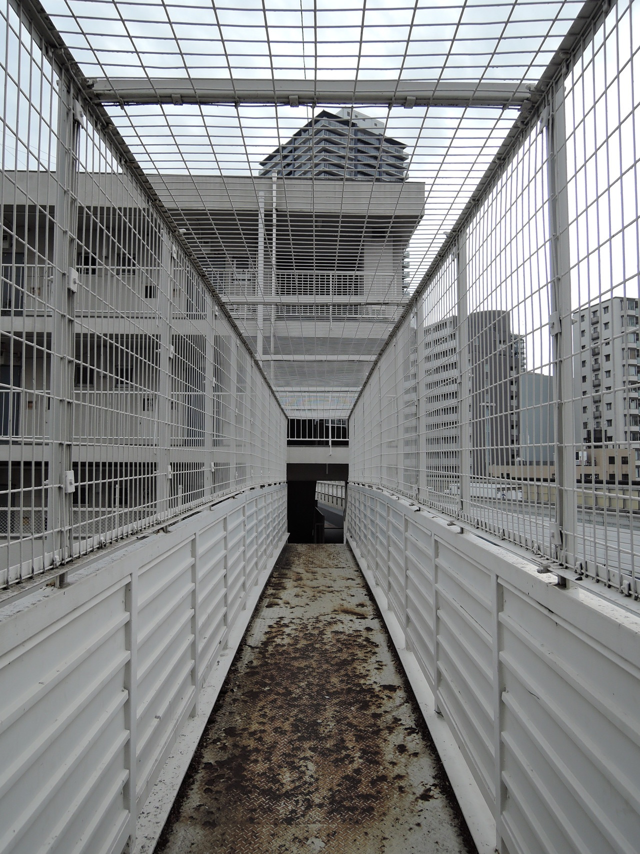 Archillect ID 374153