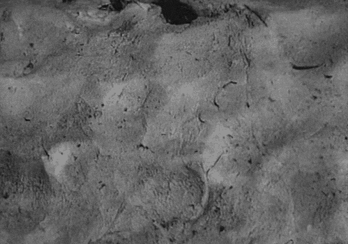 Archillect ID 374196