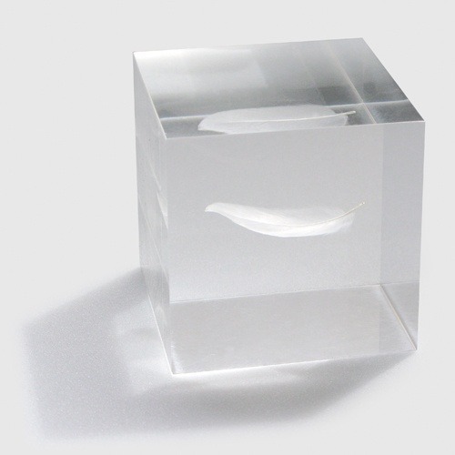 Archillect ID 374223