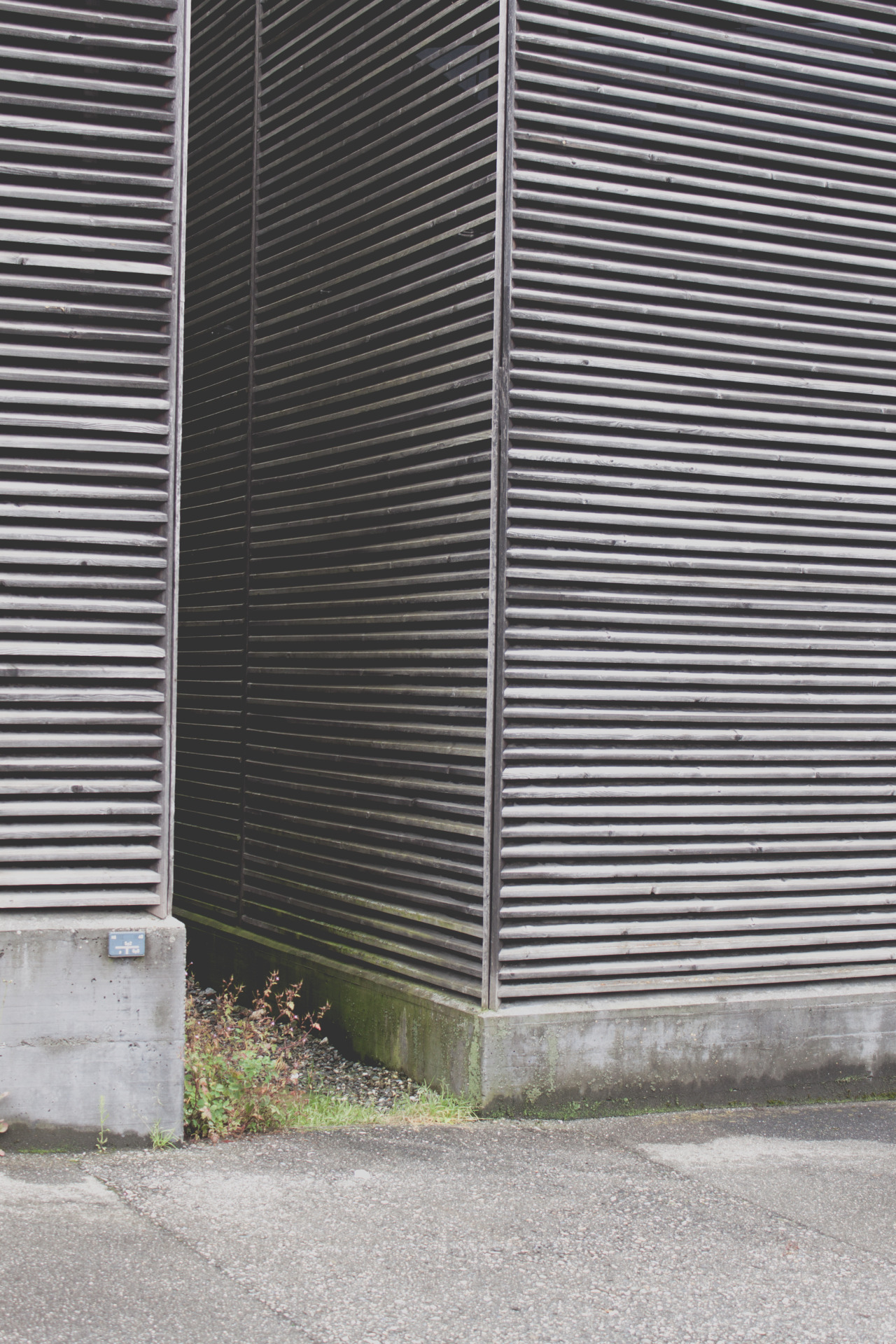 Archillect ID 374224