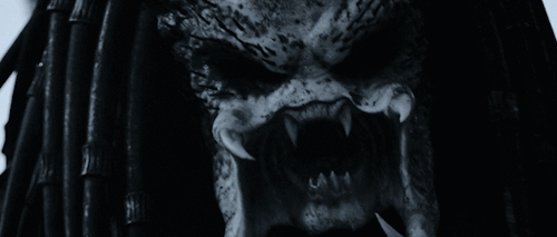 Archillect ID 374252