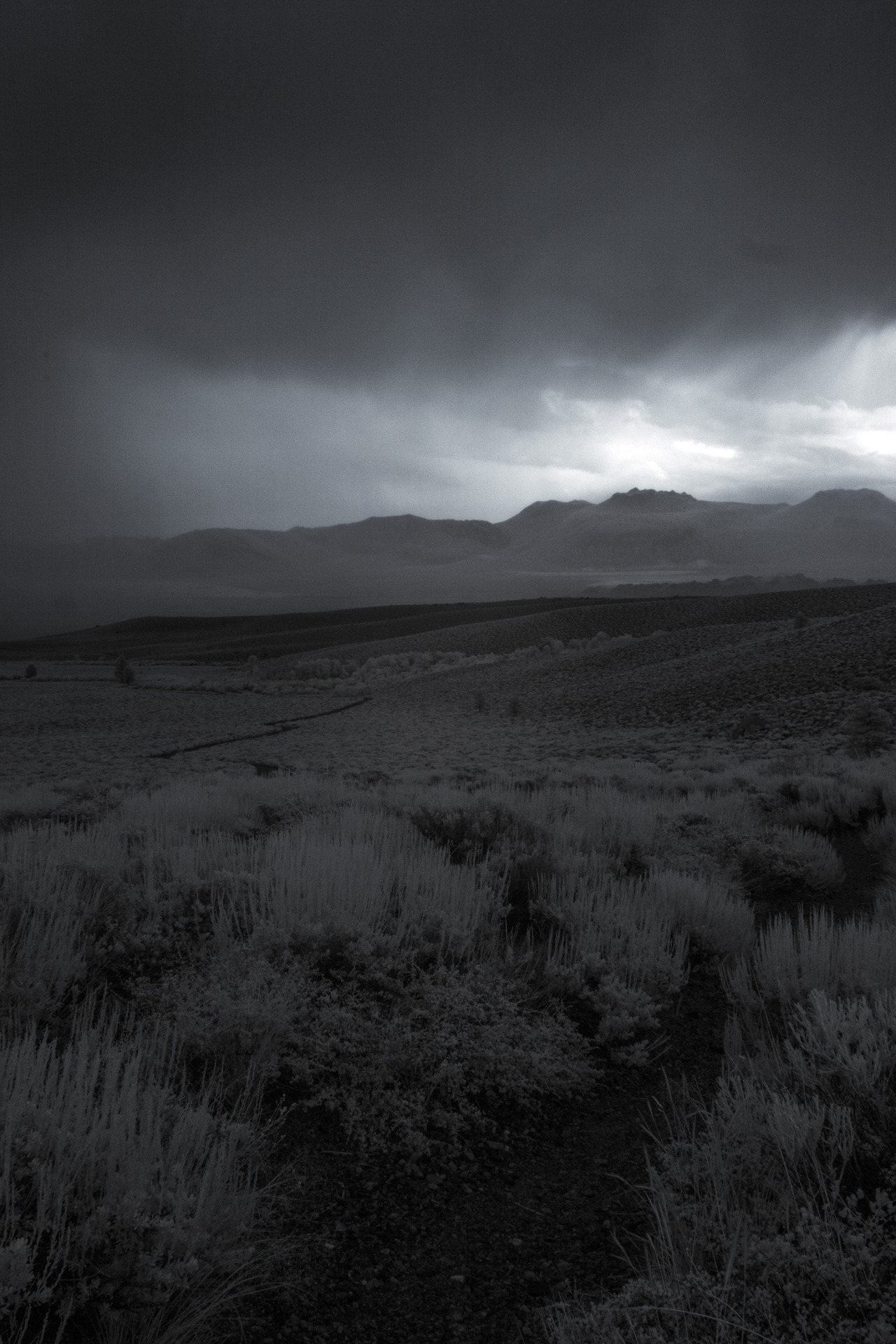 Archillect ID 374257