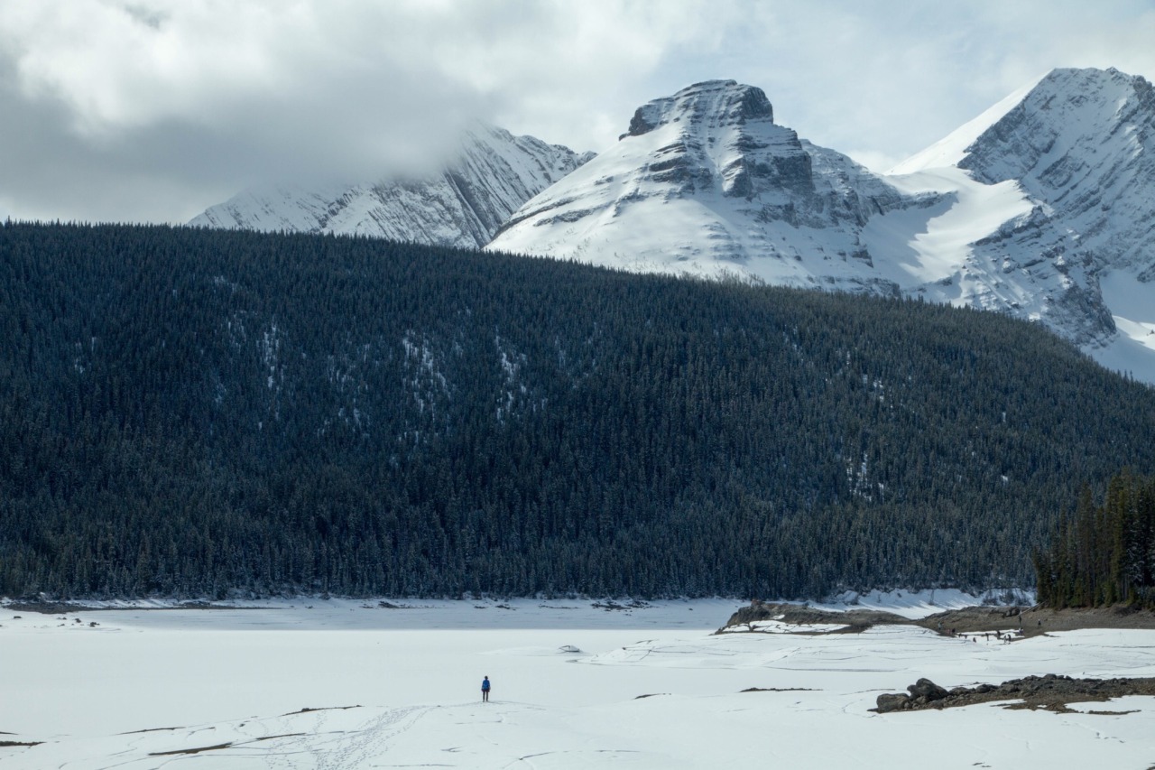 Archillect ID 374325