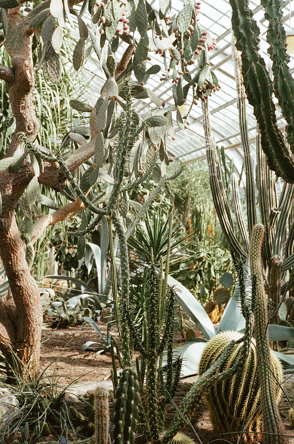 Archillect ID 374328