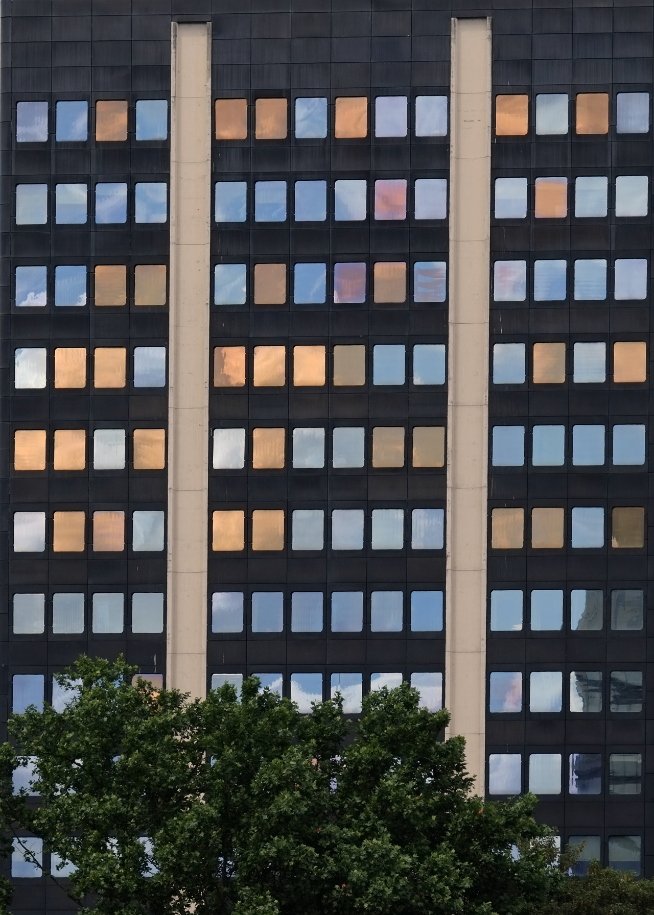 Archillect ID 374337