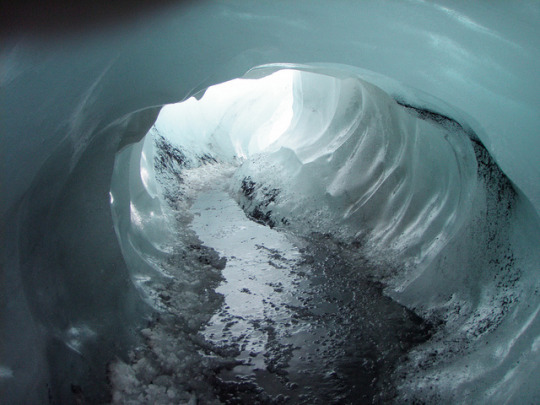 Archillect ID 374350