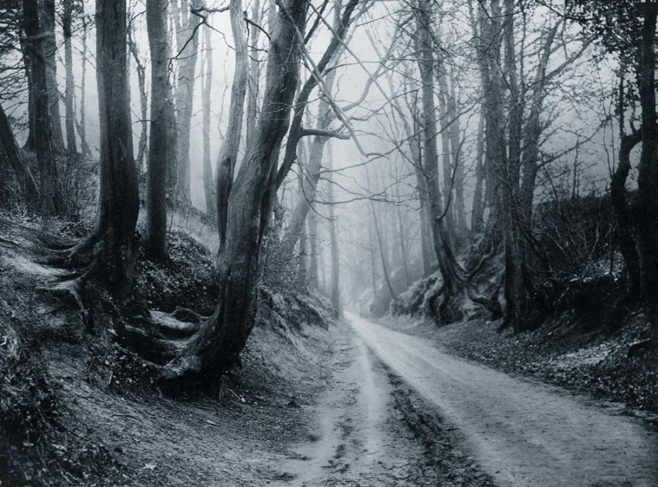 Archillect ID 374362