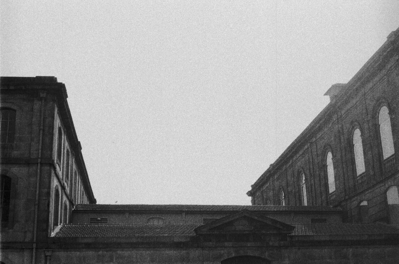 Archillect ID 374396