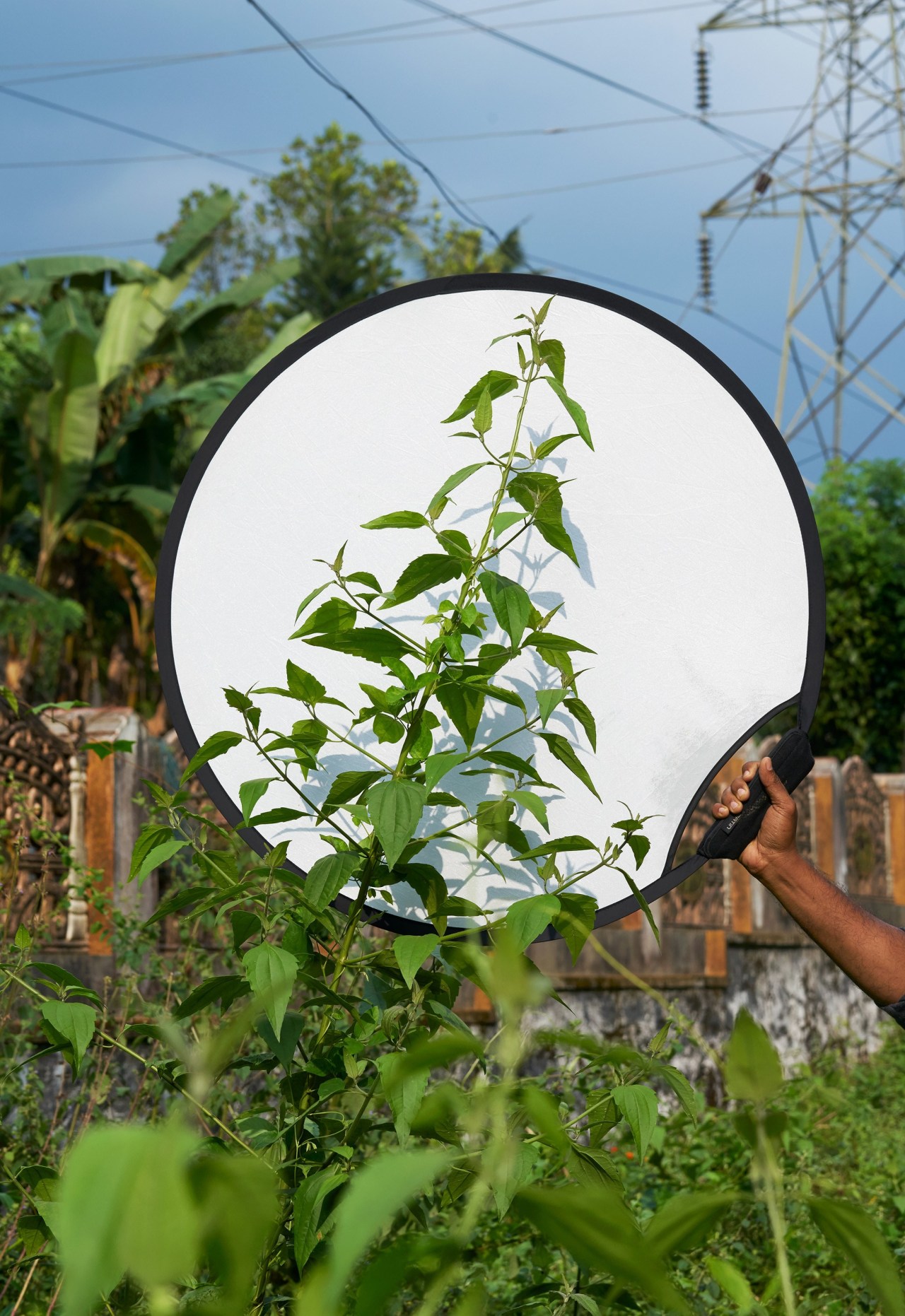 Archillect ID 374419