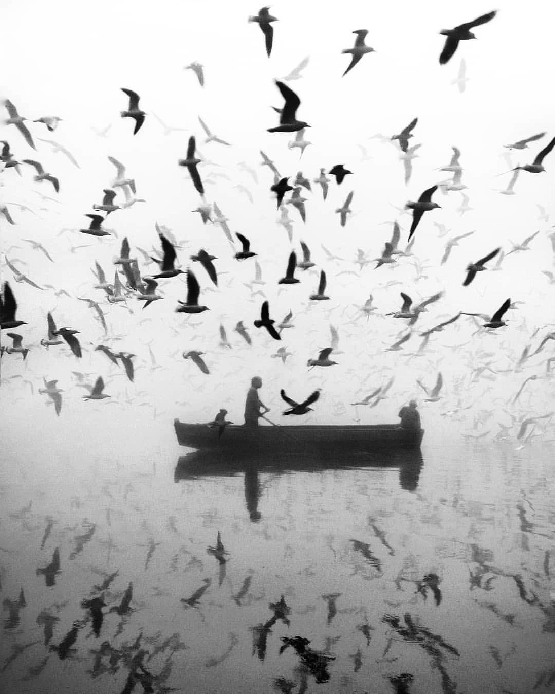 Archillect ID 374432