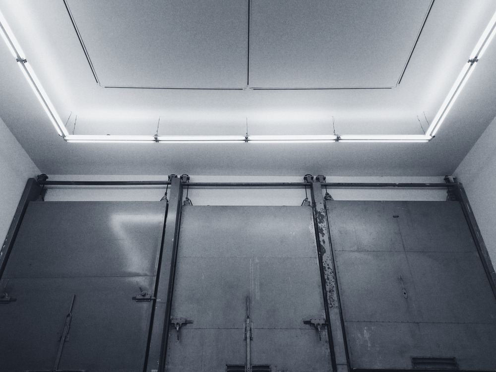 Archillect ID 374450