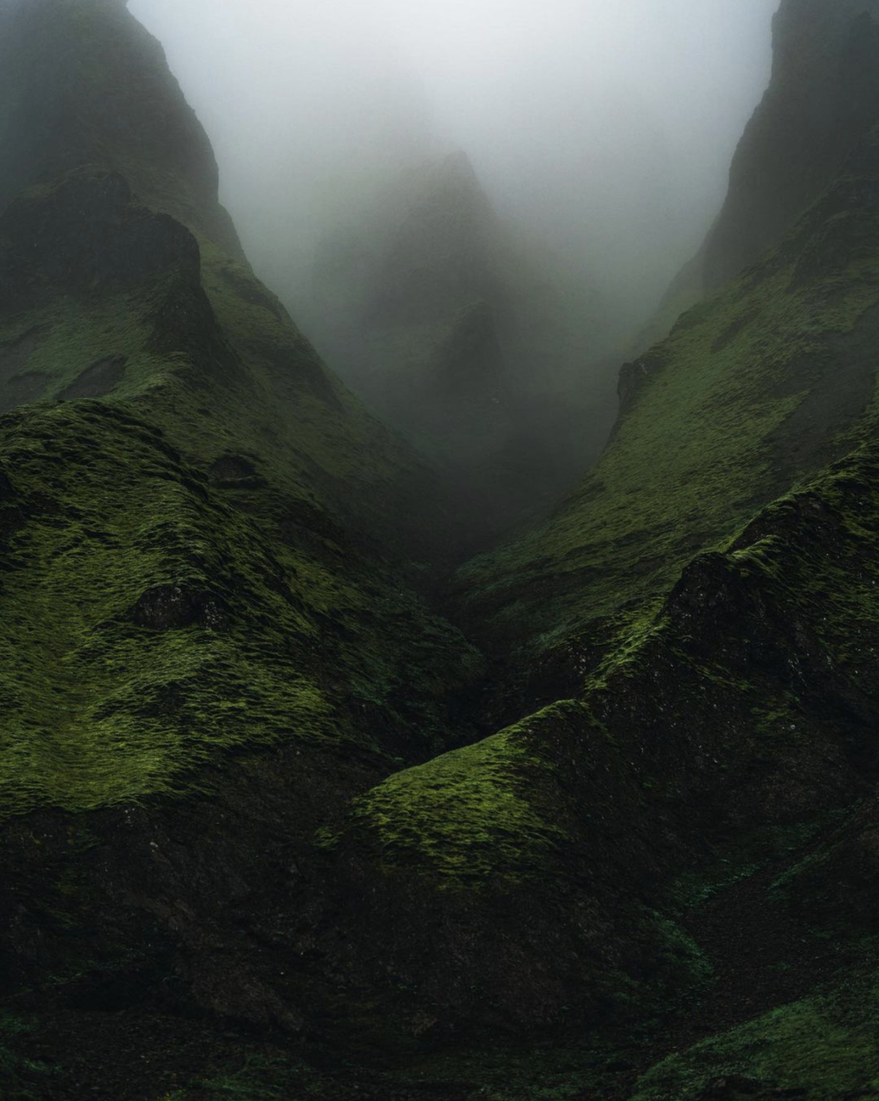 Archillect ID 374471