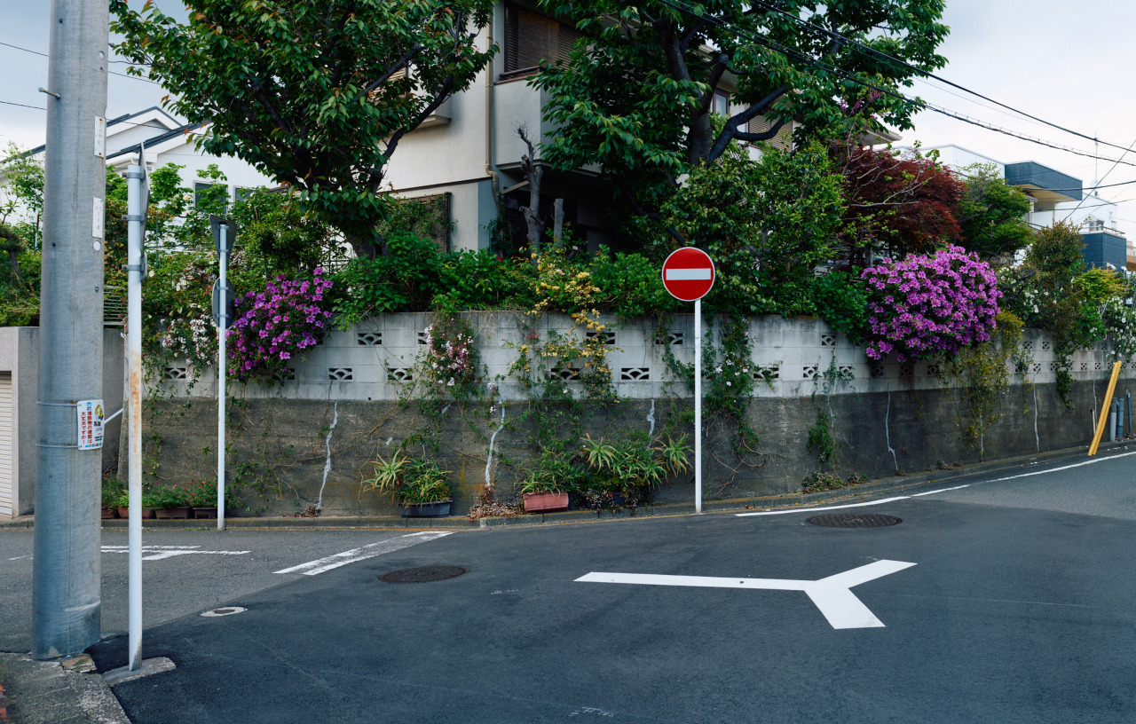 Archillect ID 374482