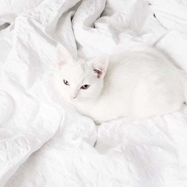 Archillect ID 374491