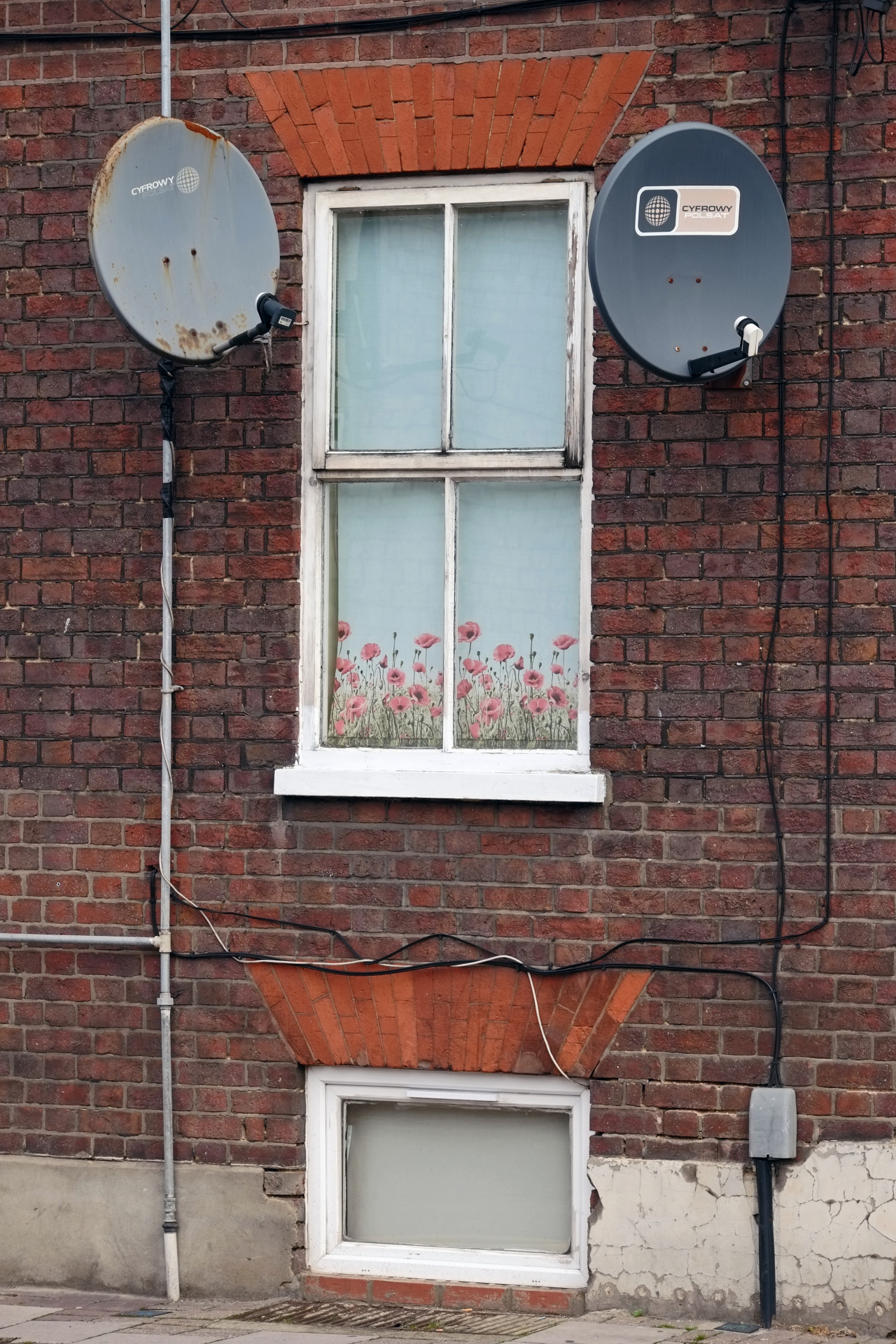 Archillect ID 374496