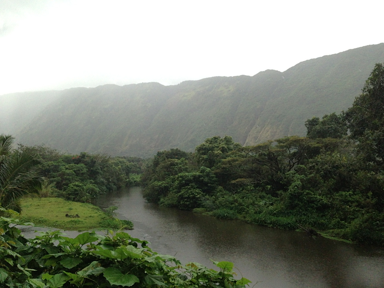 Archillect ID 374552