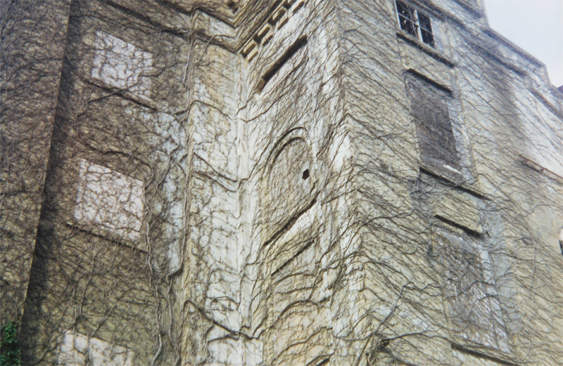 Archillect ID 374559