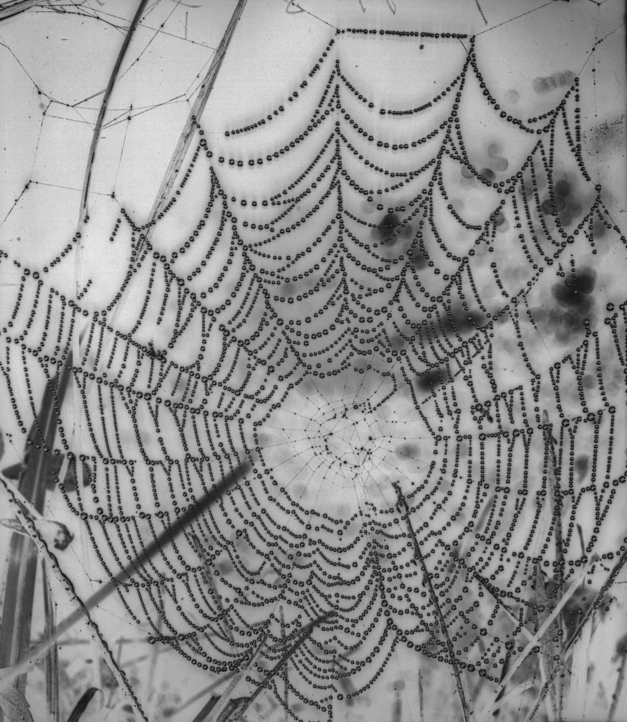 Archillect ID 374573