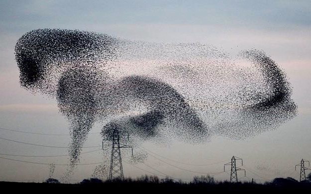 Archillect ID 374611