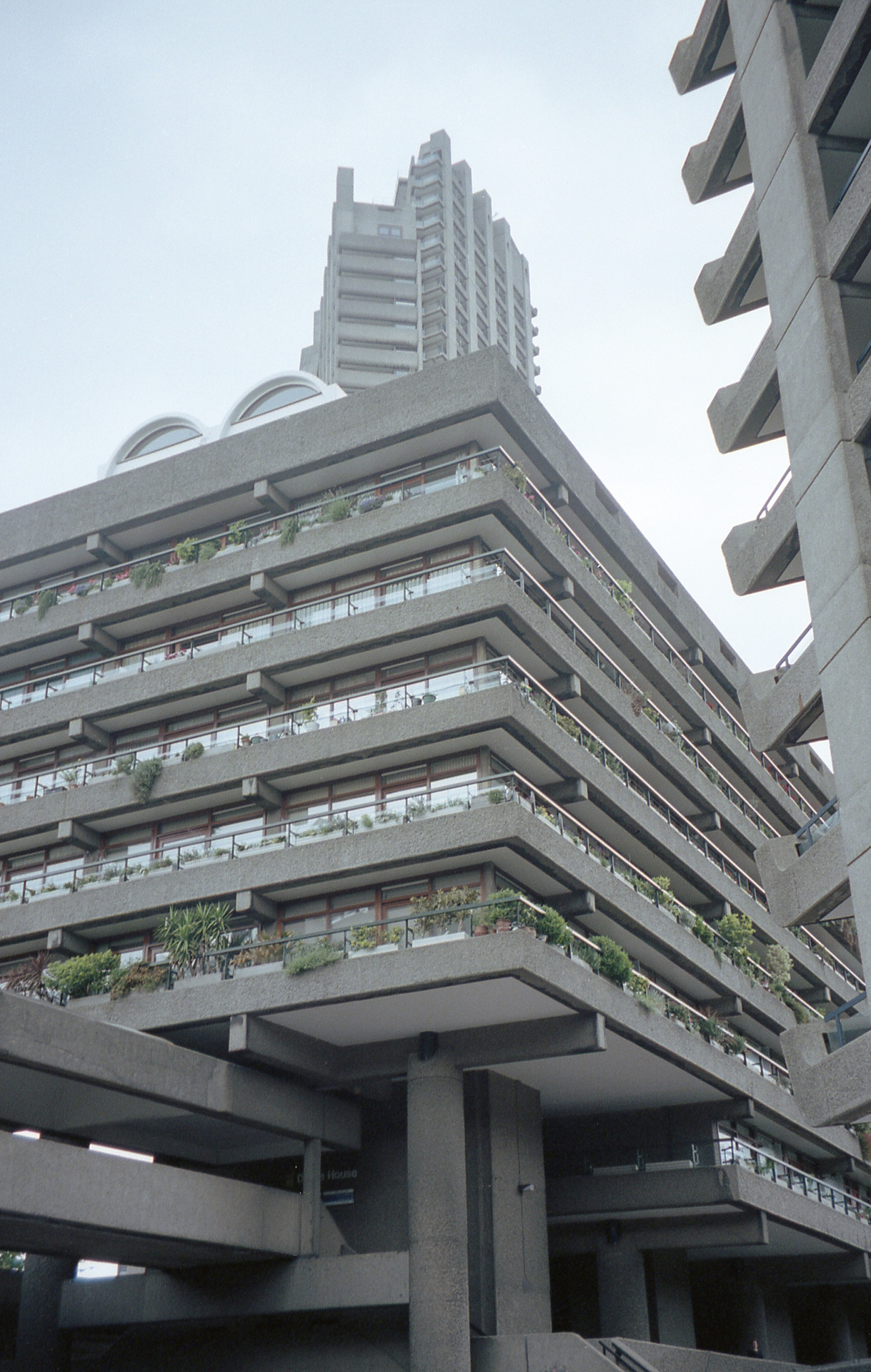 Archillect ID 374618