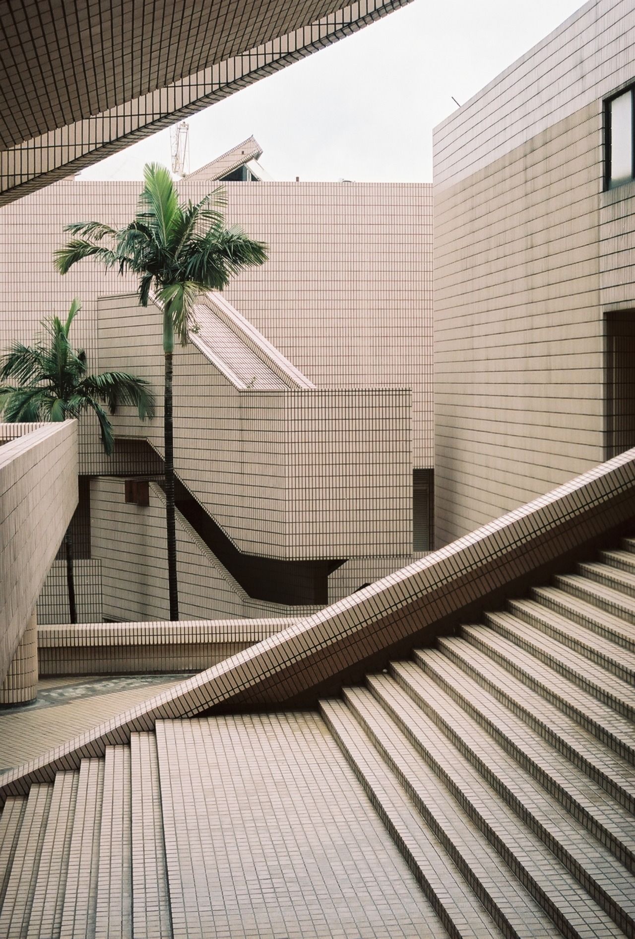 Archillect ID 374642