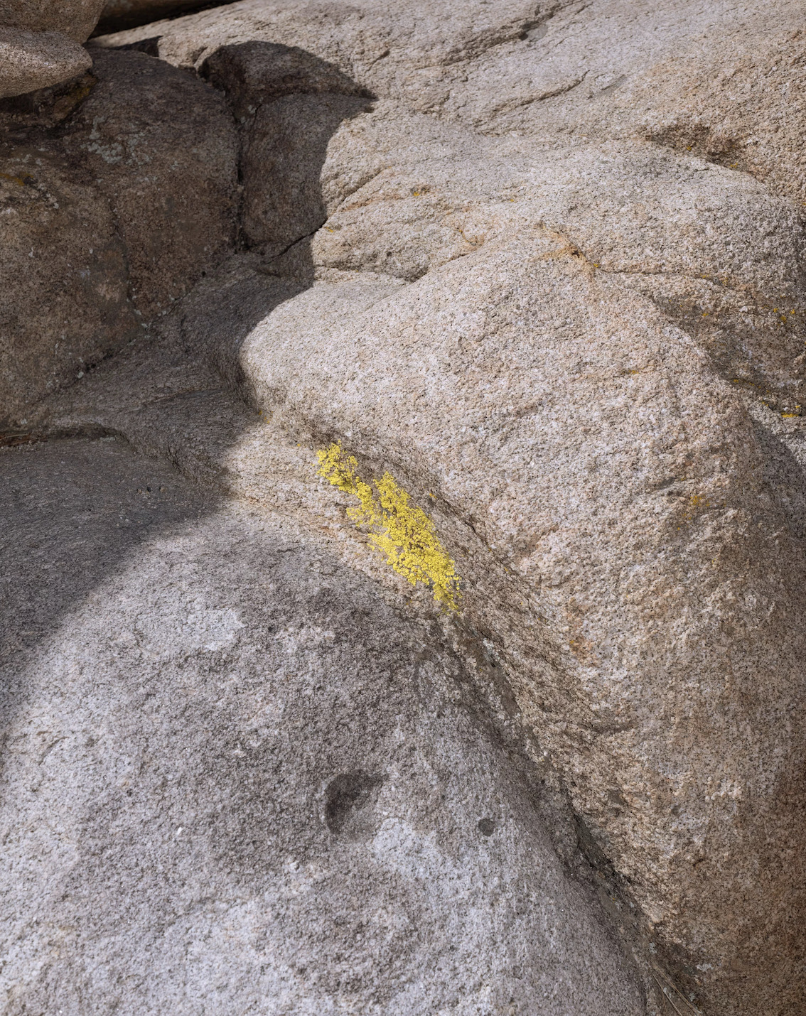 Archillect ID 374745