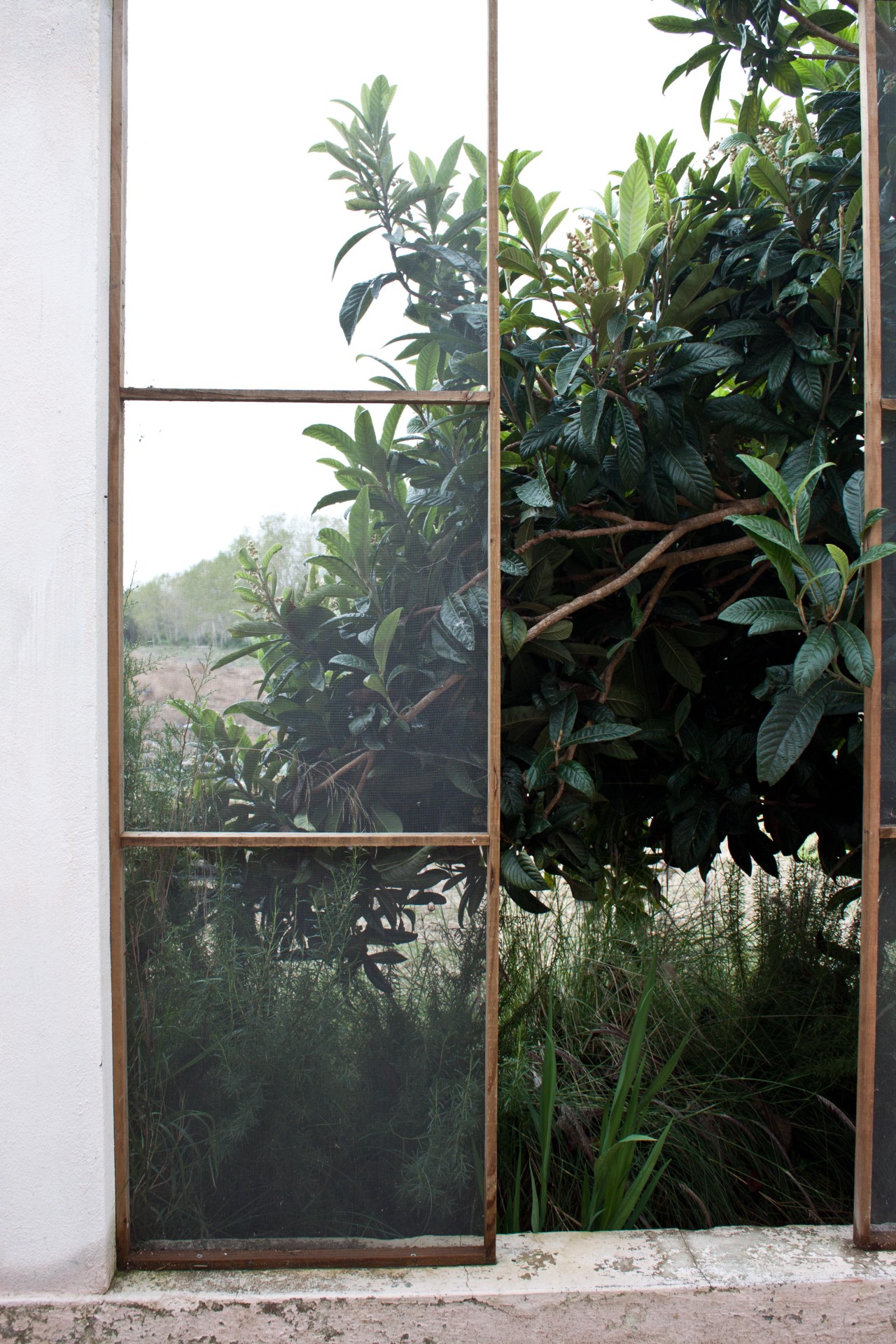 Archillect ID 374760