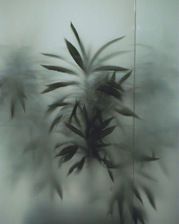 Archillect ID 374765