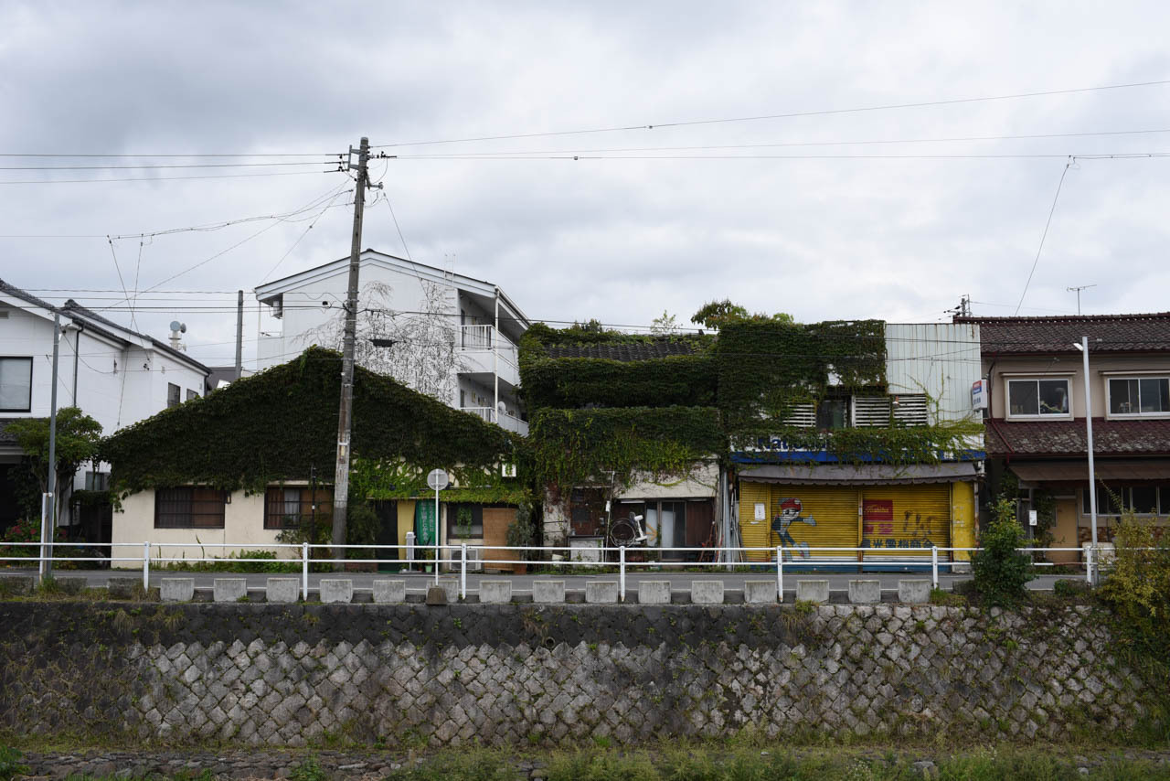 Archillect ID 374799