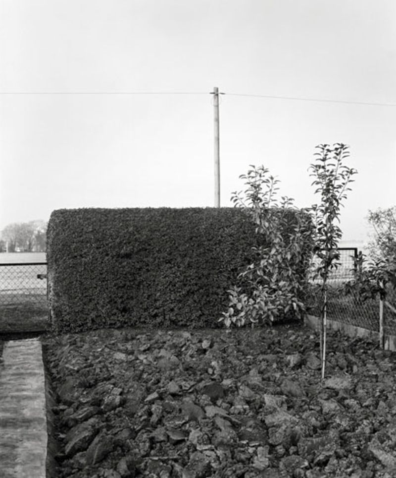 Archillect ID 374822