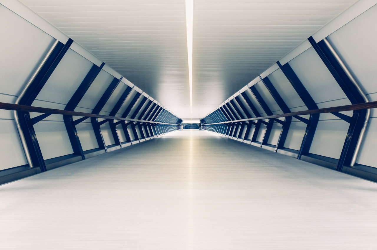 Archillect ID 374837