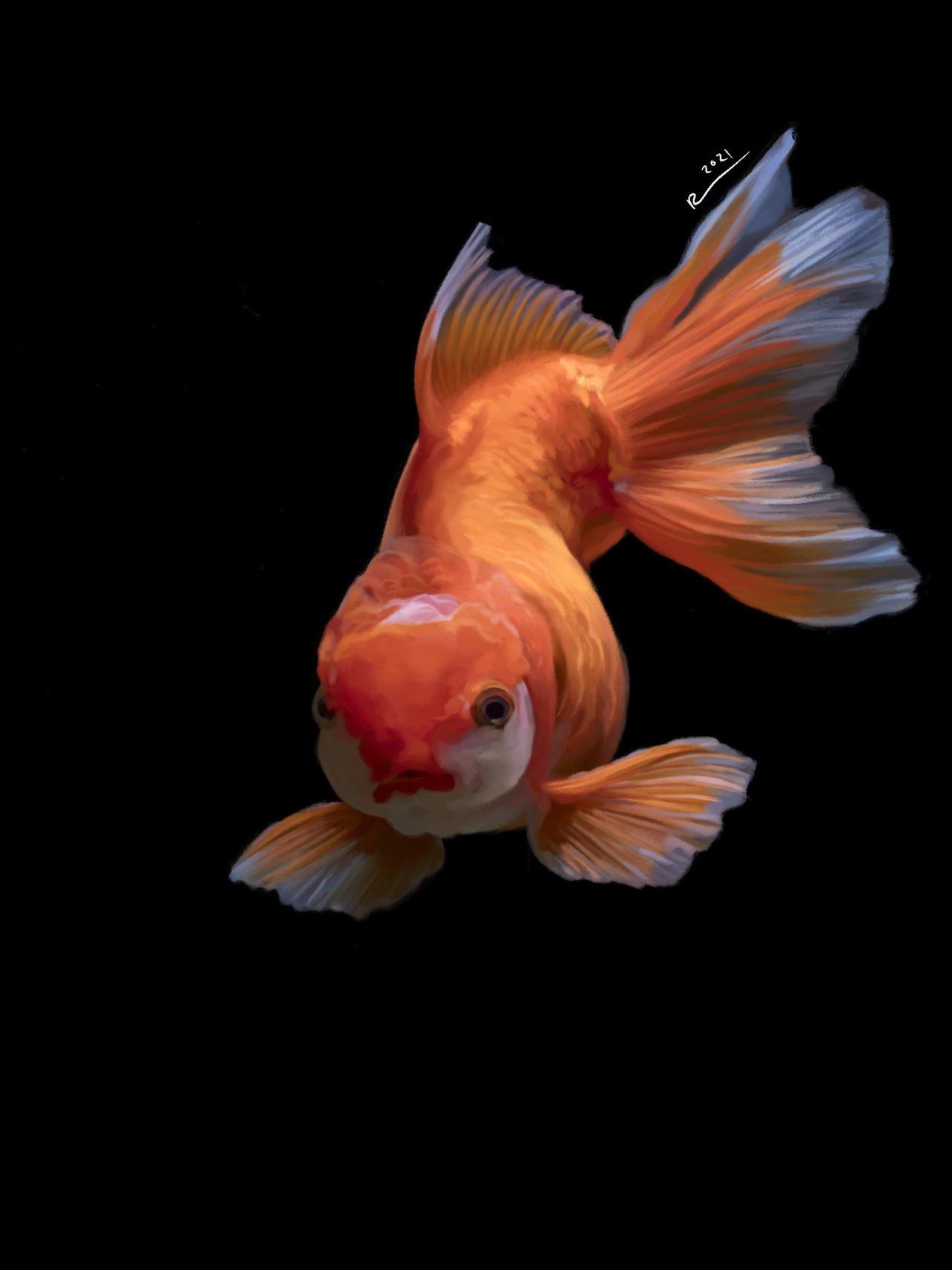 Archillect ID 374871