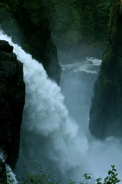 Archillect ID 374911