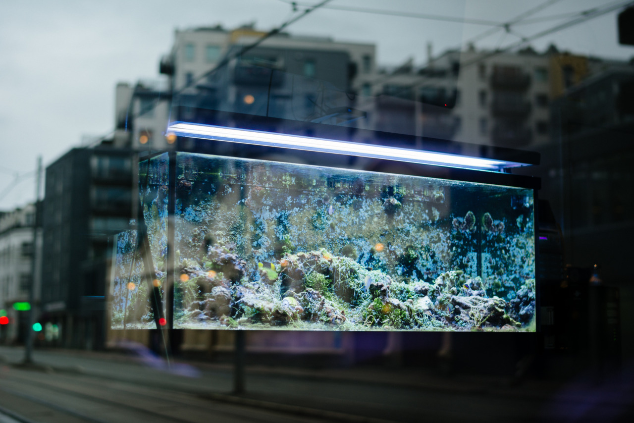 Archillect ID 374916