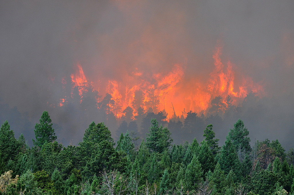 Archillect ID 374920