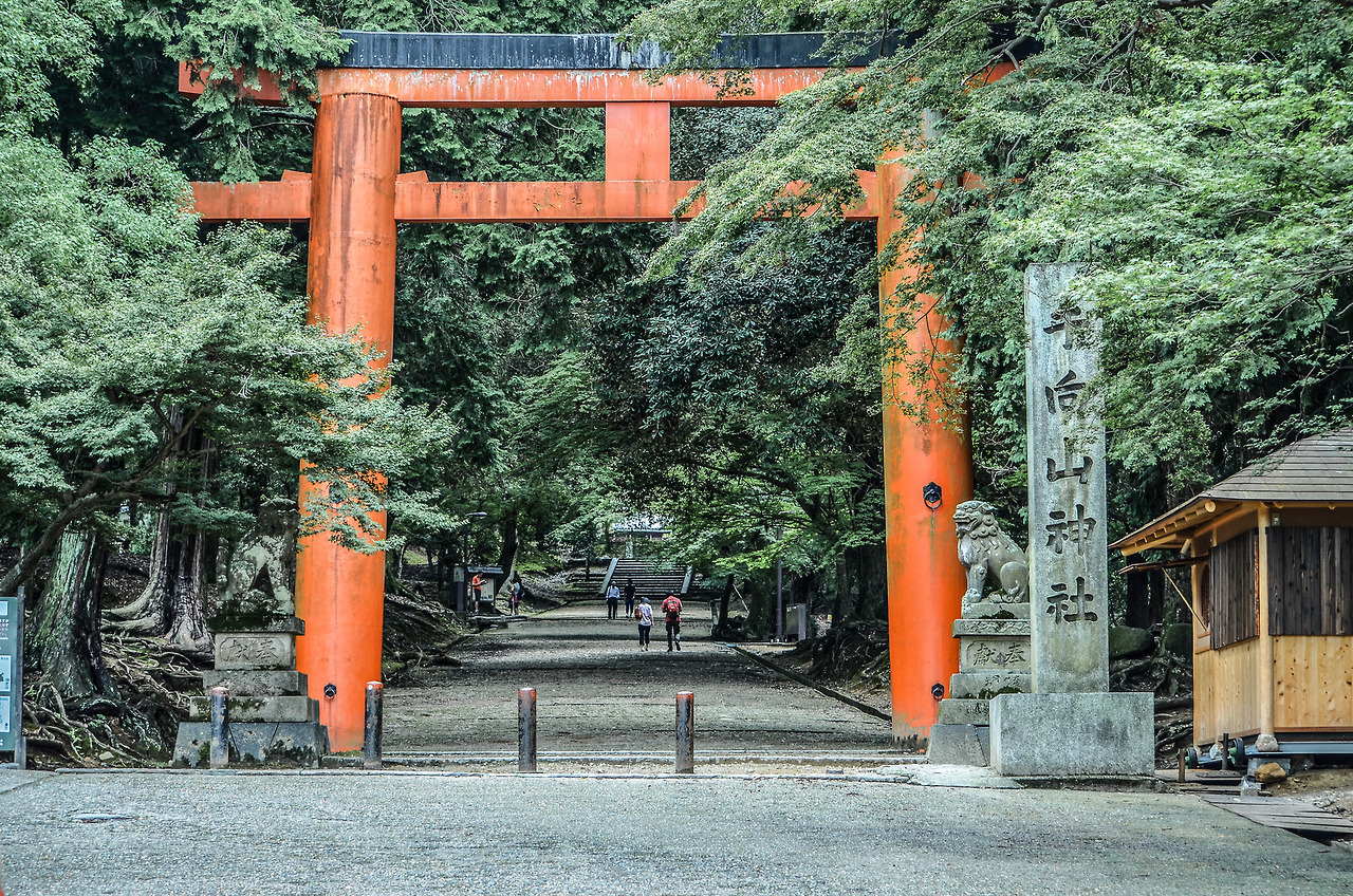 Archillect ID 374937