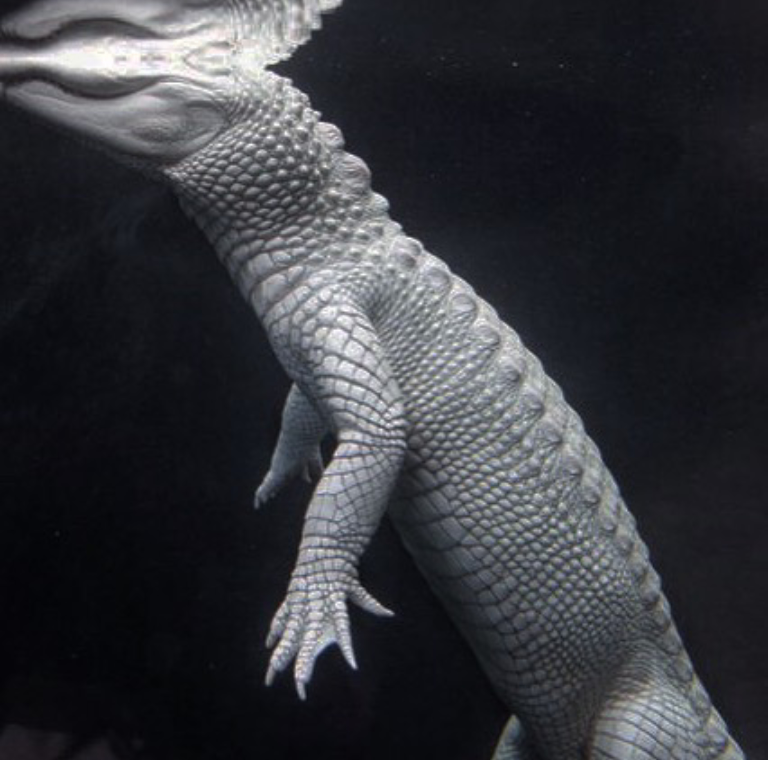 Archillect ID 374971