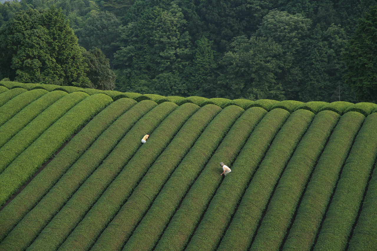 Archillect ID 374991