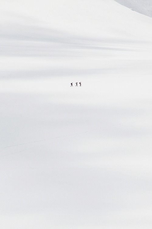 Archillect ID 375002