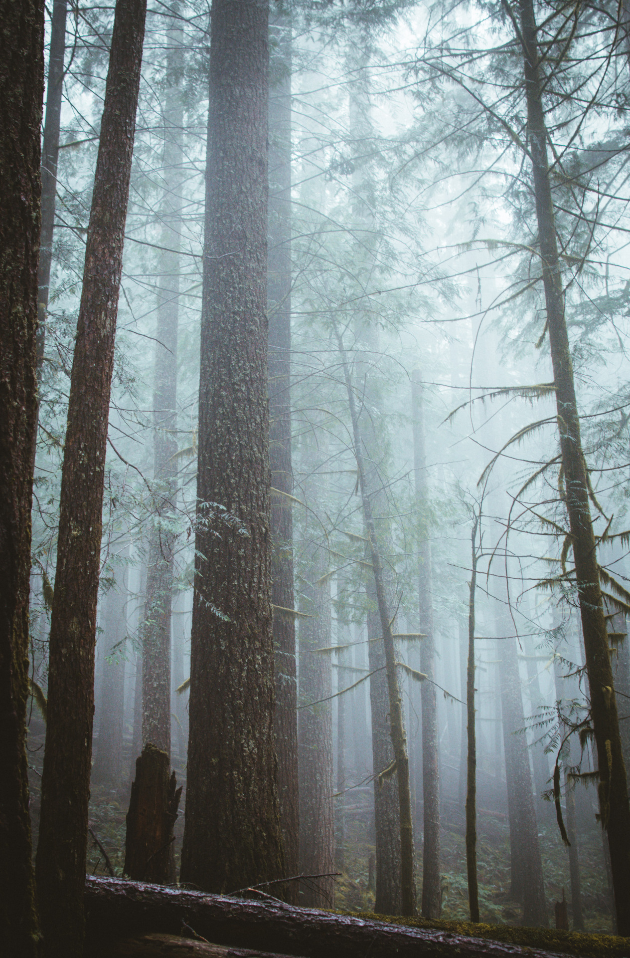 Archillect ID 375026