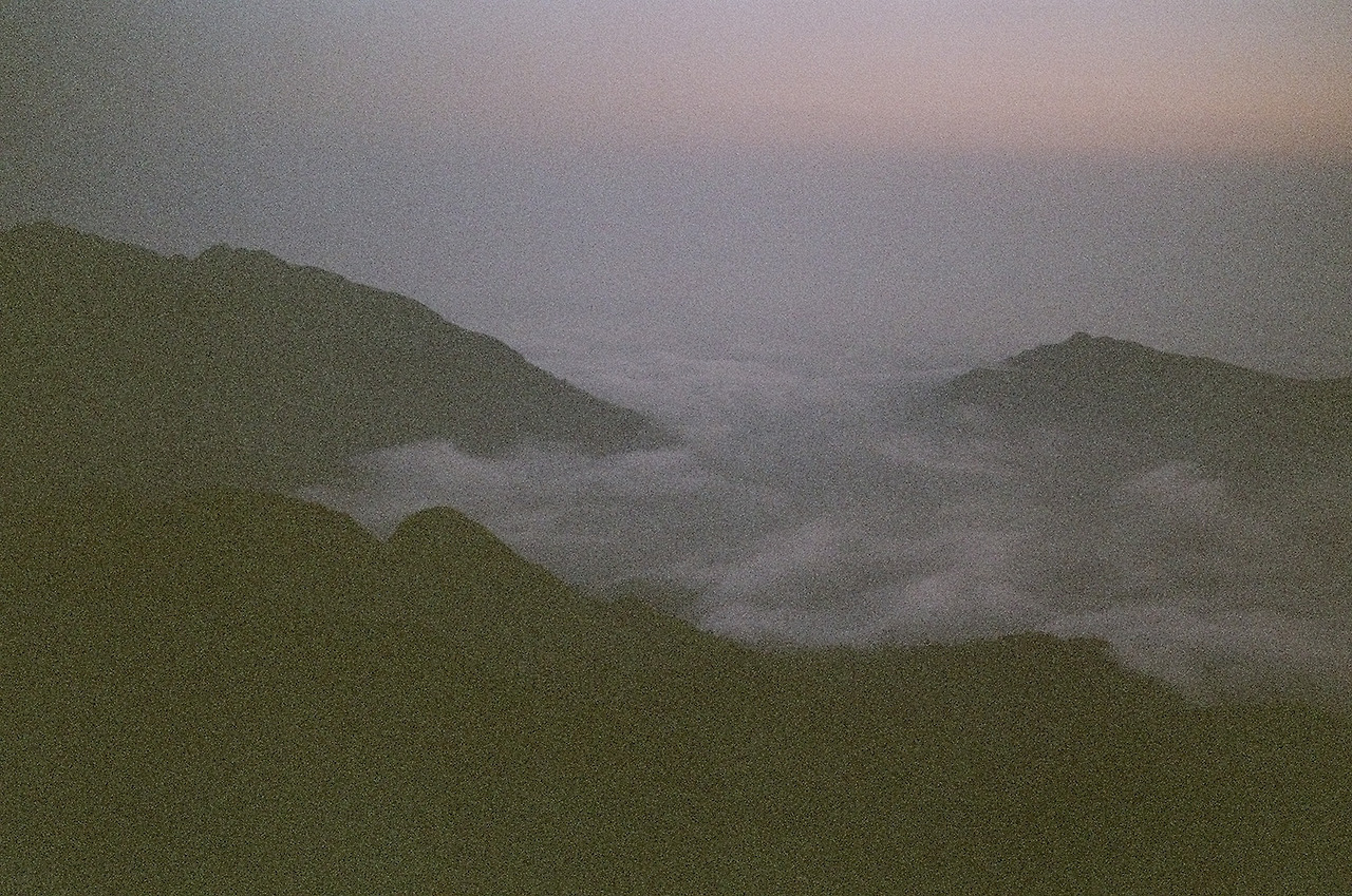 Archillect ID 375029