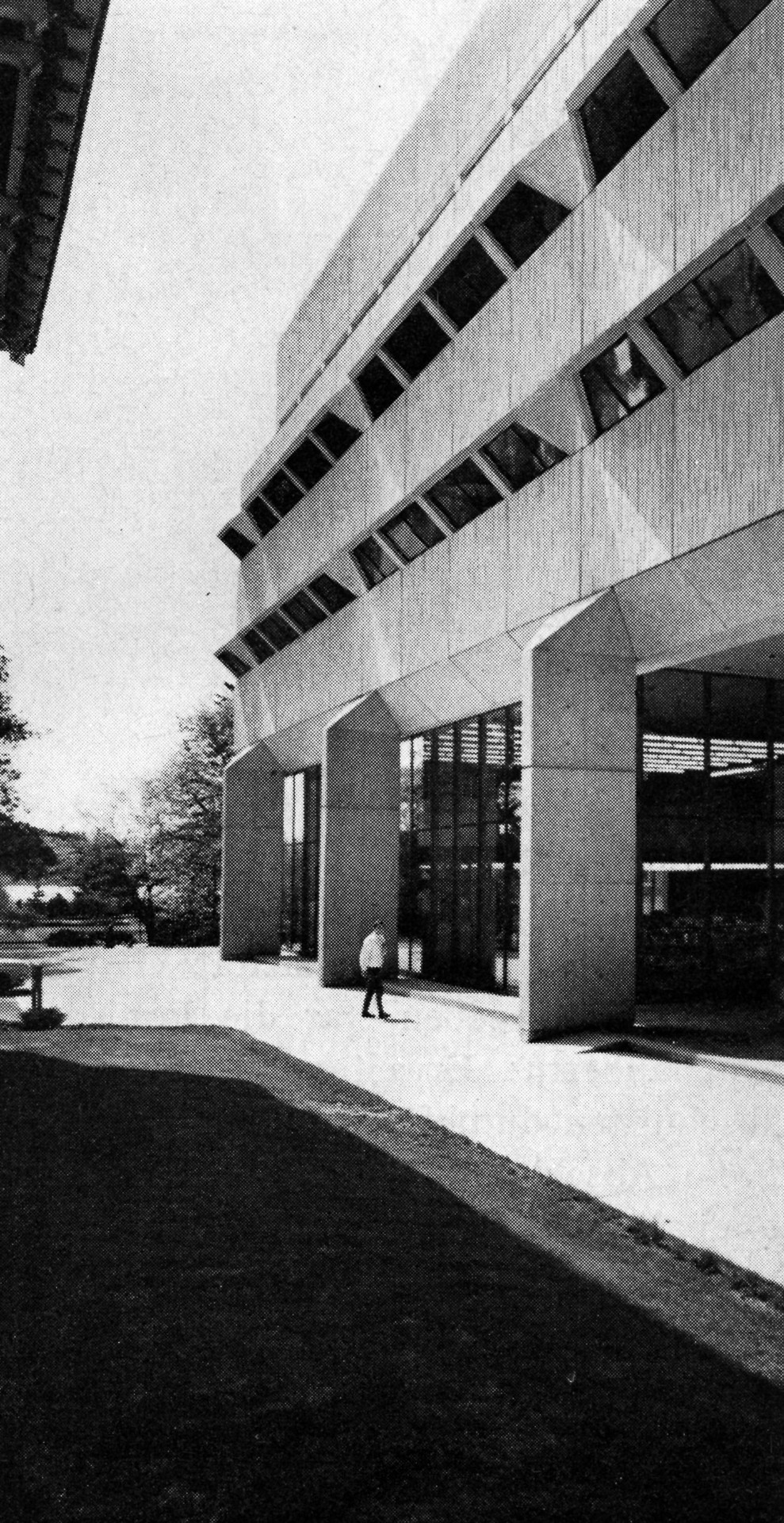 Archillect ID 375127