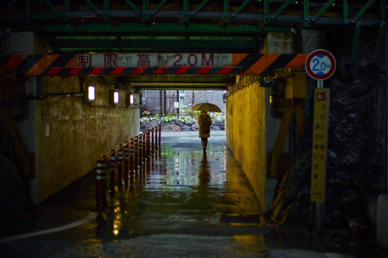 Archillect ID 375199